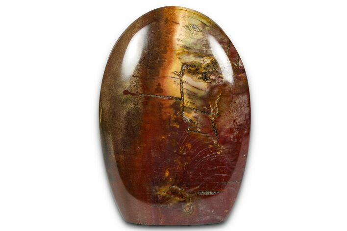 Free-Standing, Polished Petrified Wood - Madagascar #376103